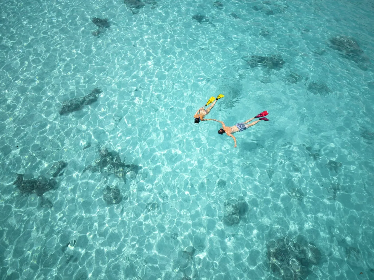 圖片說明