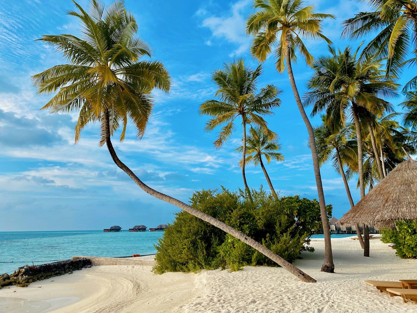 Vanilla Islands